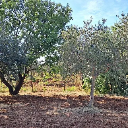 Casa Inzirillo Rappa Con Giardino * Castelluzzo