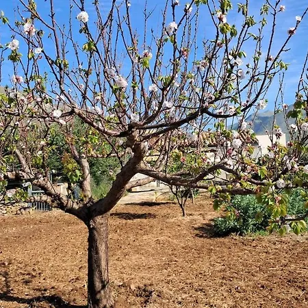 Casa Inzirillo Rappa Con Giardino *