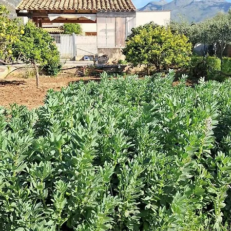 Apartment Casa Inzirillo Rappa Con Giardino Castelluzzo